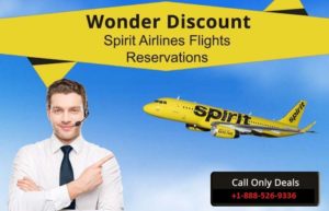 spirit airlines baggage allowance domestic flights